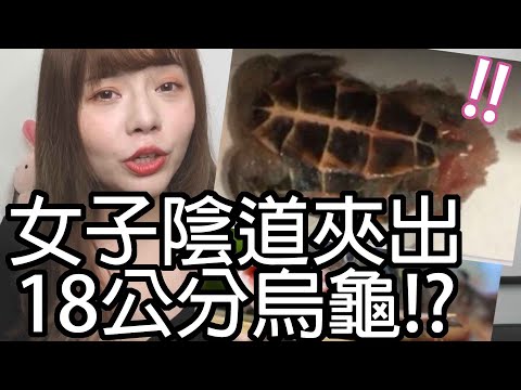 【性學小教室44】陰道裡面夾出18公分烏龜？！｜陰道可以塞入多大的東西？